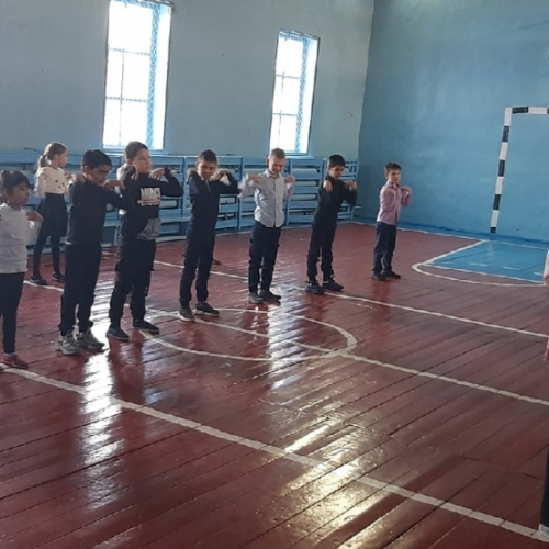 Активисты РДШ 5,7,8 классов,совместно с учащимися начальных классов,приняли участие в Всероссийской акции,посвященной Дню Защитника Отечества,в формате челленджа "ЗАряд ВПН"